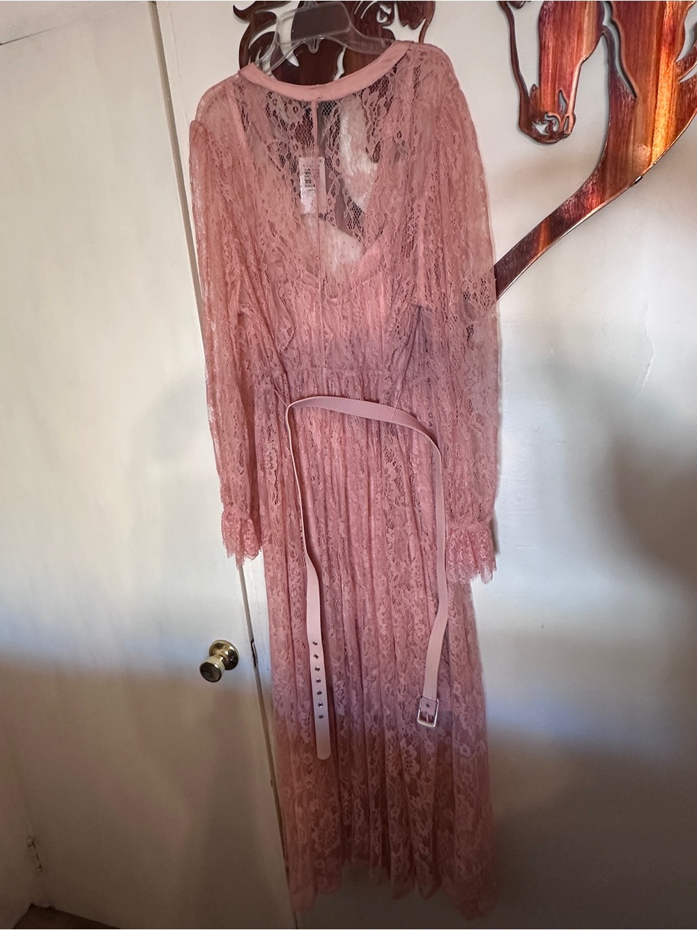Torrid Mellow arose Pink Sheer and Lace Maxi Dress - Picture 2 of 13